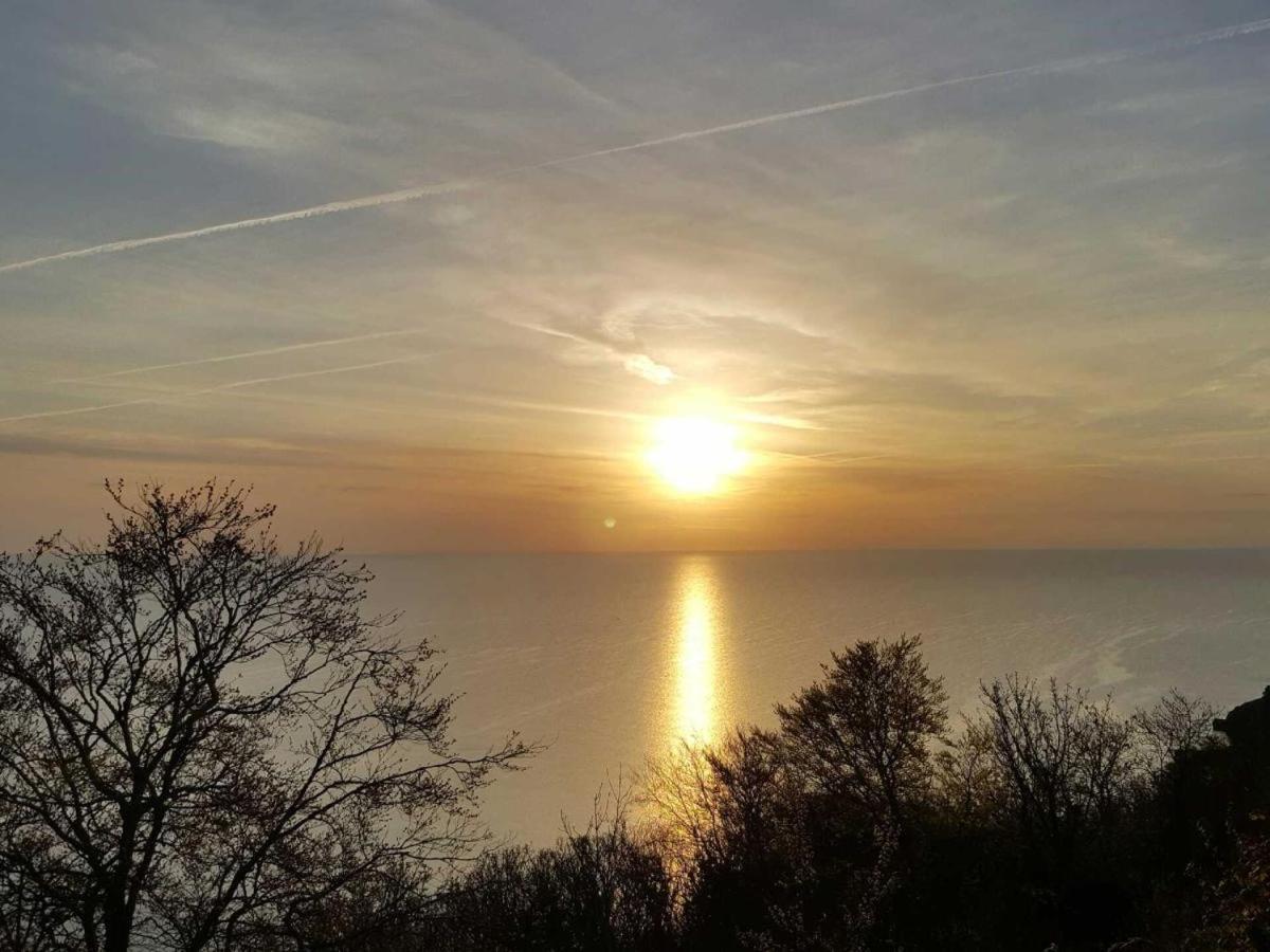 Babbacombe Palms Ξενοδοχείο Torquay Εξωτερικό φωτογραφία